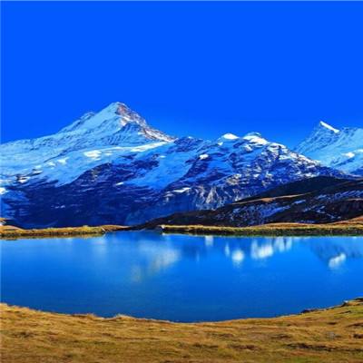 BO半岛综合app安全下载手机app下载