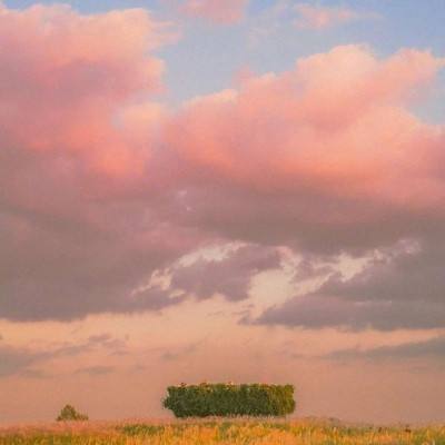 博鱼app下载(中国)官方网站