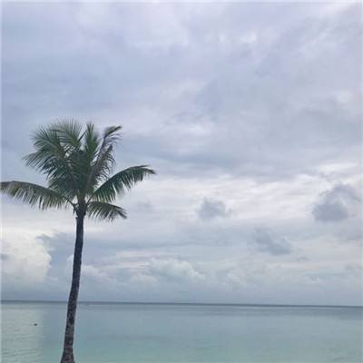 澳州幸运5官方app