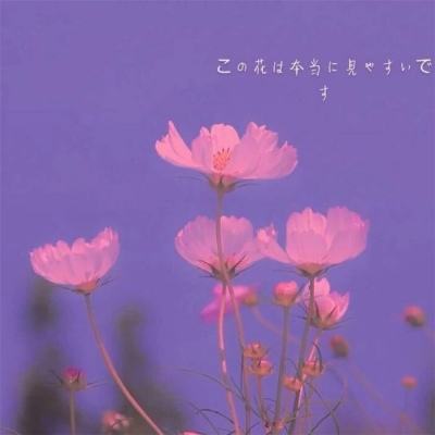 9博体育app下载官网