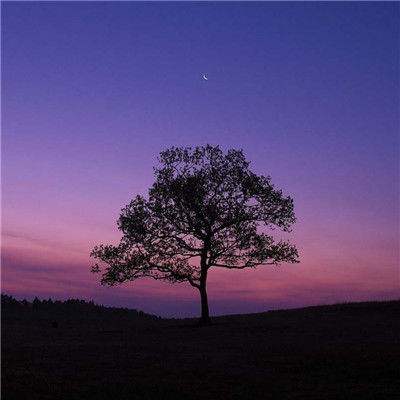 LOL外围官网手机app下载