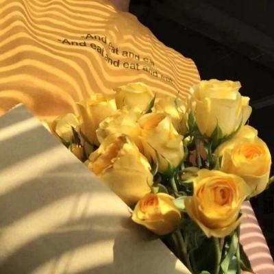 金博宝手机app下载