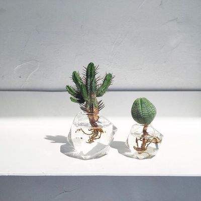 亚博app(中国)官方网站截图